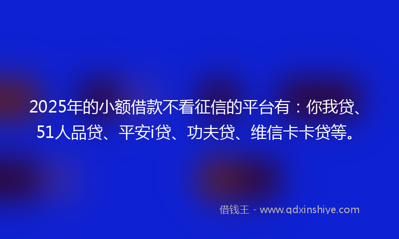 2025年的小额借款不看征信的平台有：你我贷、51人品贷、平安i贷、功夫贷、维信卡卡贷等。