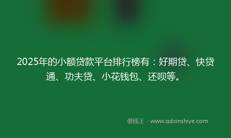 2025年的小额贷款平台排行榜有：好期贷、快贷通、功夫贷、小花钱包、还呗等。