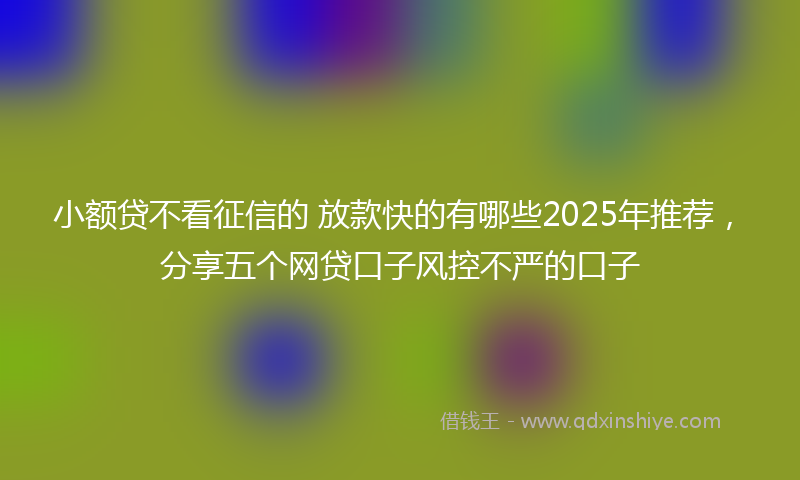 小额贷不看征信的 放款快的有哪些2025年推荐，分享五个网贷口子风控不严的口子