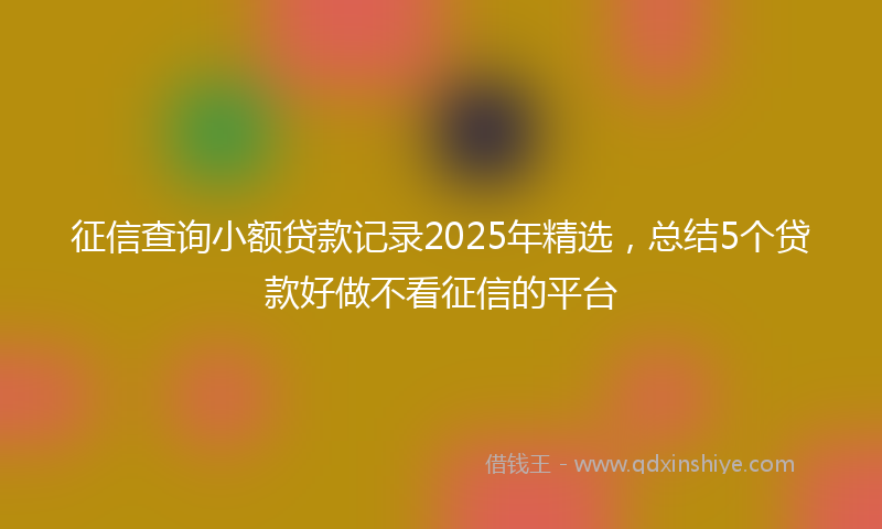 征信查询小额贷款记录2025年精选，总结5个贷款好做不看征信的平台