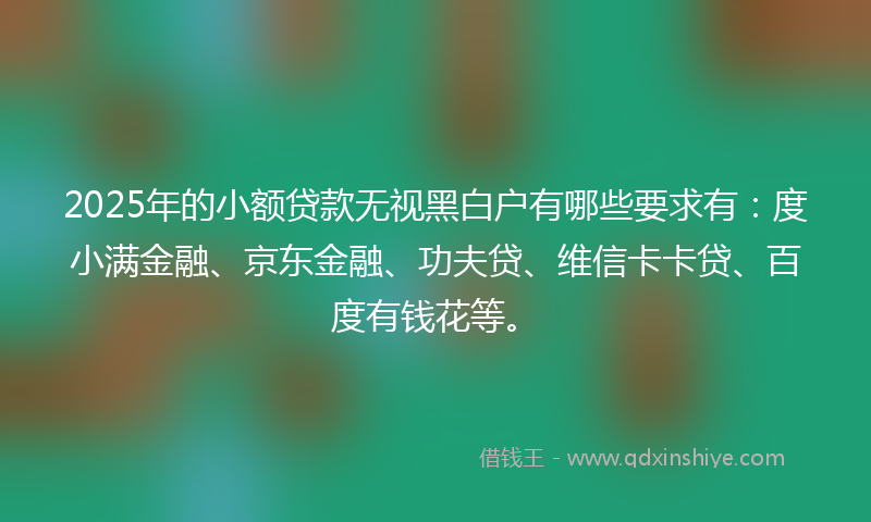 2025年的小额贷款无视黑白户有哪些要求有：度小满金融、京东金融、功夫贷、维信卡卡贷、百度有钱花等。