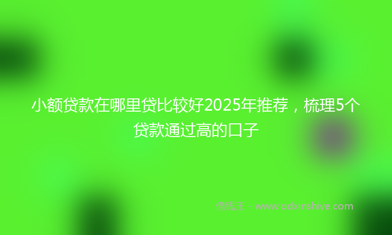 小额贷款在哪里贷比较好2025年推荐，梳理5个贷款通过高的口子