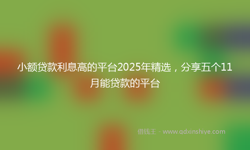 小额贷款利息高的平台2025年精选，分享五个11月能贷款的平台