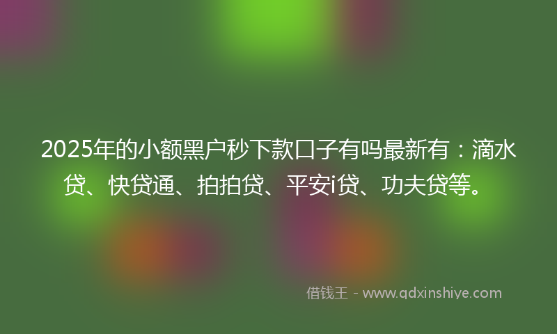 2025年的小额黑户秒下款口子有吗最新有：滴水贷、快贷通、拍拍贷、平安i贷、功夫贷等。