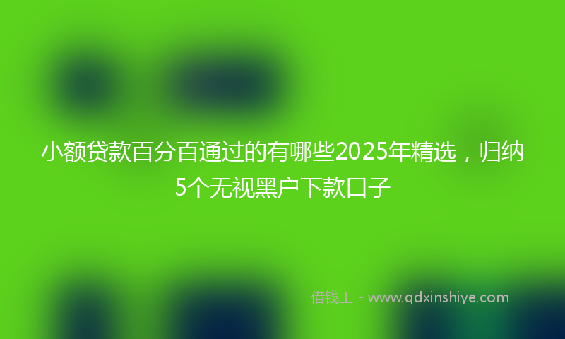 小额贷款百分百通过的有哪些2025年精选，归纳5个无视黑户下款口子