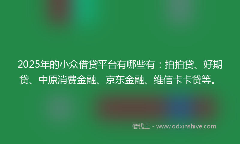 2025年的小众借贷平台有哪些有：拍拍贷、好期贷、中原消费金融、京东金融、维信卡卡贷等。
