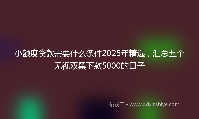 小额度贷款需要什么条件2025年精选，汇总五个无视双黑下款5000的口子