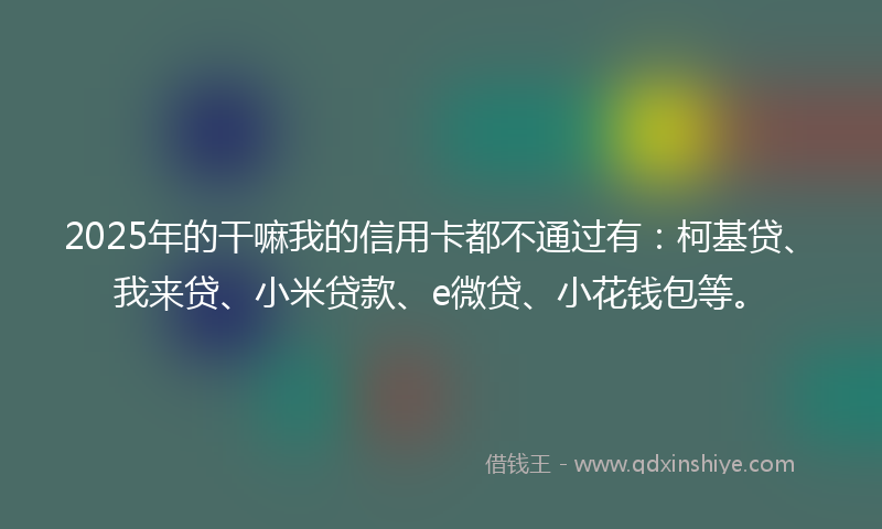 2025年的干嘛我的信用卡都不通过有：柯基贷、我来贷、小米贷款、e微贷、小花钱包等。