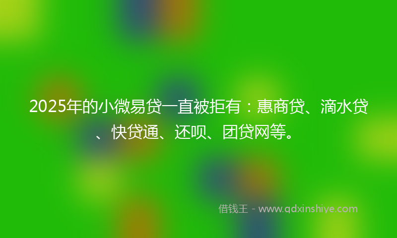2025年的小微易贷一直被拒有：惠商贷、滴水贷、快贷通、还呗、团贷网等。