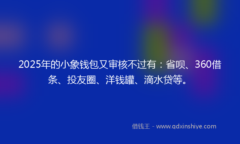 2025年的小象钱包又审核不过有：省呗、360借条、投友圈、洋钱罐、滴水贷等。
