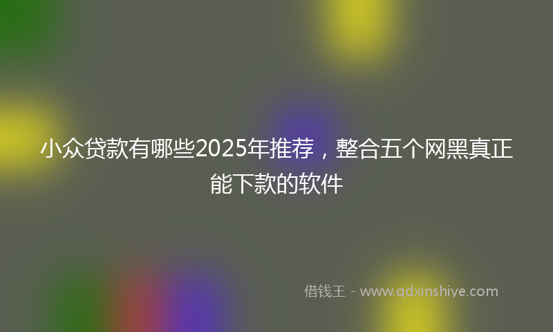 小众贷款有哪些2025年推荐，整合五个网黑真正能下款的软件