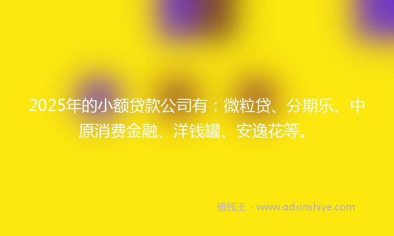 2025年的小额贷款公司有：微粒贷、分期乐、中原消费金融、洋钱罐、安逸花等。