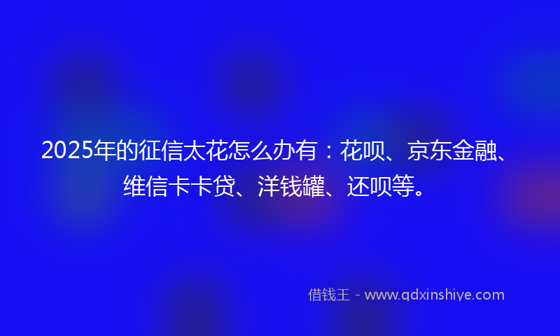 2025年的征信太花怎么办有：花呗、京东金融、维信卡卡贷、洋钱罐、还呗等。