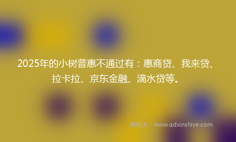 2025年的小树普惠不通过有：惠商贷、我来贷、拉卡拉、京东金融、滴水贷等。