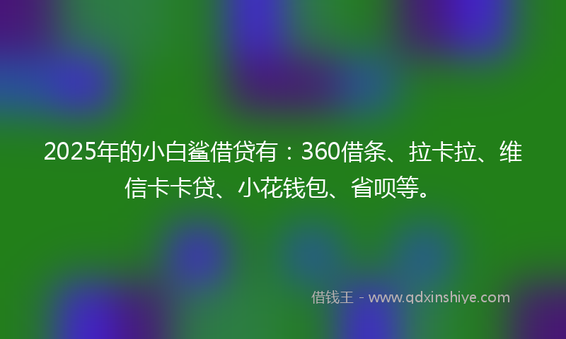 2025年的小白鲨借贷有：360借条、拉卡拉、维信卡卡贷、小花钱包、省呗等。