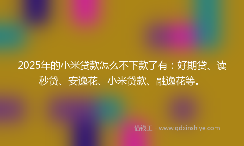 2025年的小米贷款怎么不下款了有：好期贷、读秒贷、安逸花、小米贷款、融逸花等。