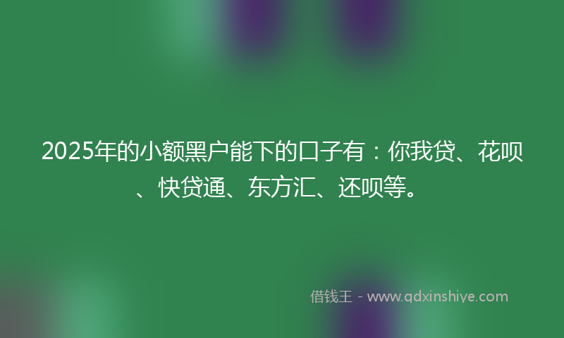 2025年的小额黑户能下的口子有：你我贷、花呗、快贷通、东方汇、还呗等。