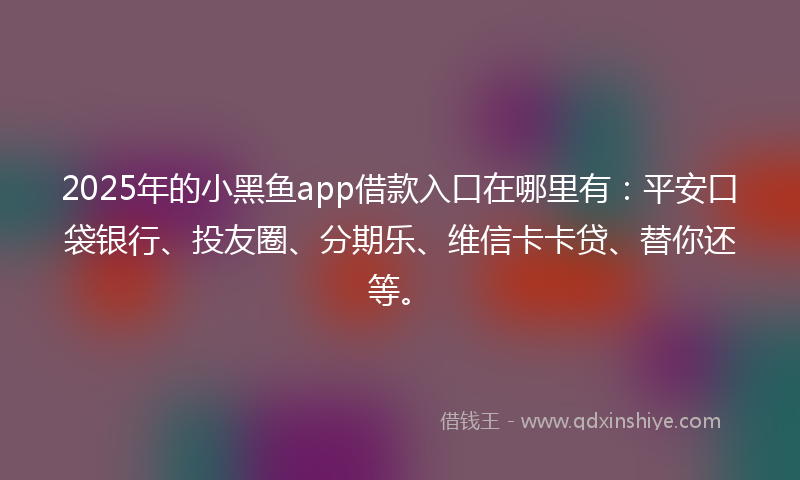 2025年的小黑鱼app借款入口在哪里有：平安口袋银行、投友圈、分期乐、维信卡卡贷、替你还等。