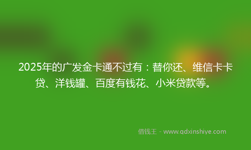 2025年的广发金卡通不过有：替你还、维信卡卡贷、洋钱罐、百度有钱花、小米贷款等。