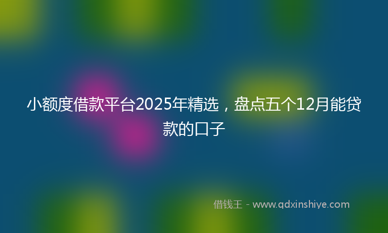 小额度借款平台2025年精选，盘点五个12月能贷款的口子