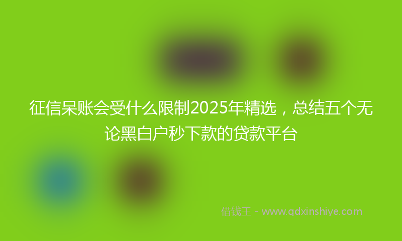 征信呆账会受什么限制2025年精选，总结五个无论黑白户秒下款的贷款平台