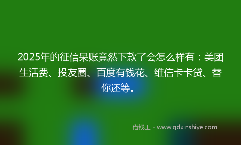 2025年的征信呆账竟然下款了会怎么样有：美团生活费、投友圈、百度有钱花、维信卡卡贷、替你还等。