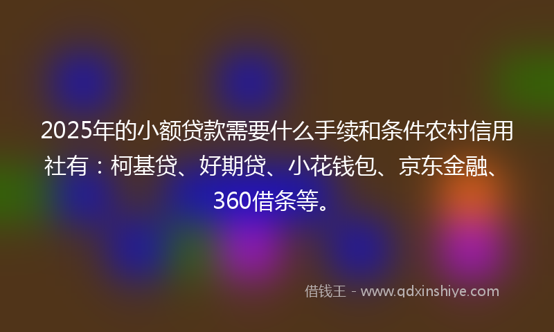 2025年的小额贷款需要什么手续和条件农村信用社有：柯基贷、好期贷、小花钱包、京东金融、360借条等。