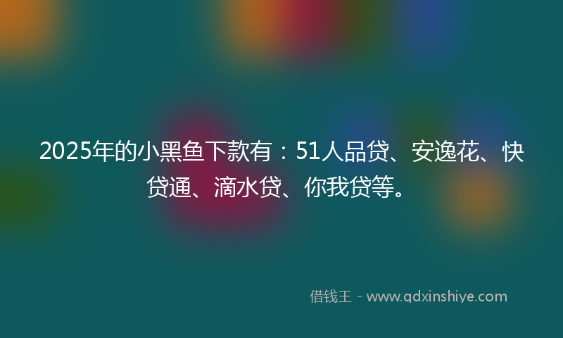 2025年的小黑鱼下款有：51人品贷、安逸花、快贷通、滴水贷、你我贷等。