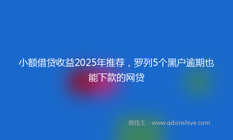 小额借贷收益2025年推荐，罗列5个黑户逾期也能下款的网贷