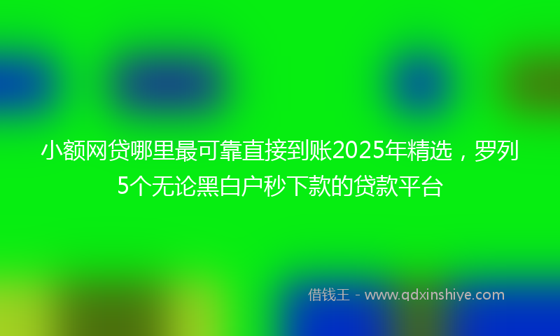 小额网贷哪里最可靠直接到账2025年精选，罗列5个无论黑白户秒下款的贷款平台