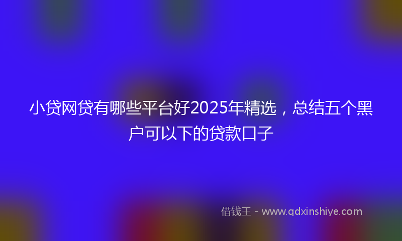 小贷网贷有哪些平台好2025年精选，总结五个黑户可以下的贷款口子