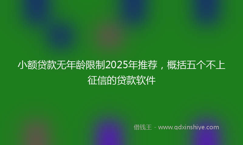 小额贷款无年龄限制2025年推荐，概括五个不上征信的贷款软件