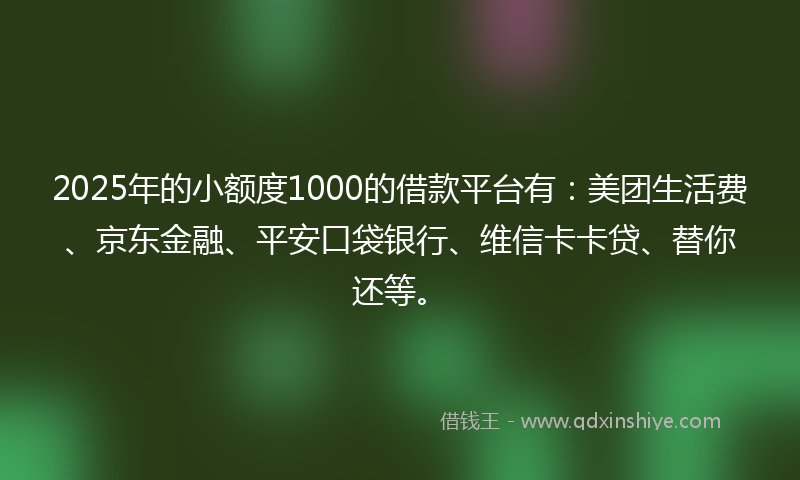 2025年的小额度1000的借款平台有：美团生活费、京东金融、平安口袋银行、维信卡卡贷、替你还等。