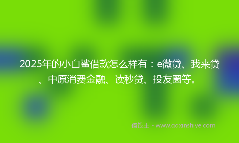 2025年的小白鲨借款怎么样有：e微贷、我来贷、中原消费金融、读秒贷、投友圈等。