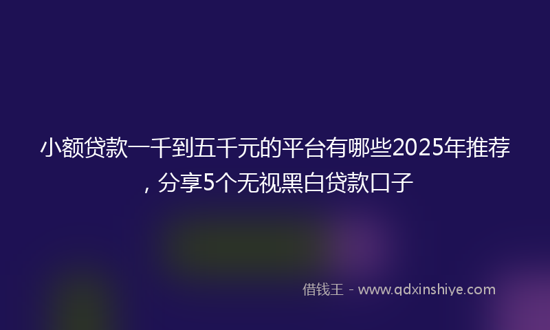 小额贷款一千到五千元的平台有哪些2025年推荐，分享5个无视黑白贷款口子