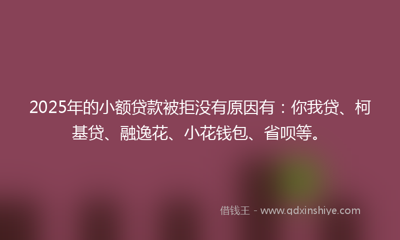 2025年的小额贷款被拒没有原因有：你我贷、柯基贷、融逸花、小花钱包、省呗等。