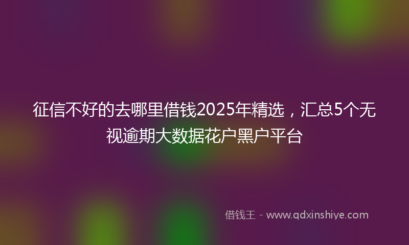 征信不好的去哪里借钱2025年精选，汇总5个无视逾期大数据花户黑户平台