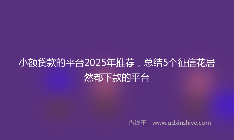 小额贷款的平台2025年推荐，总结5个征信花居然都下款的平台