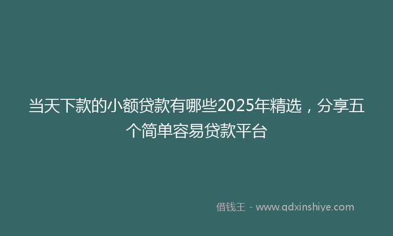 当天下款的小额贷款有哪些2025年精选，分享五个简单容易贷款平台