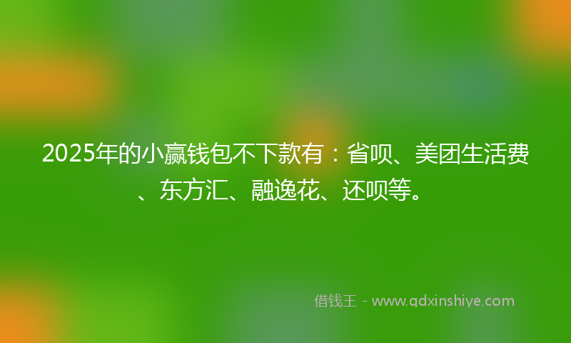 2025年的小赢钱包不下款有：省呗、美团生活费、东方汇、融逸花、还呗等。