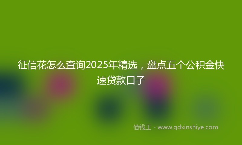 征信花怎么查询2025年精选，盘点五个公积金快速贷款口子
