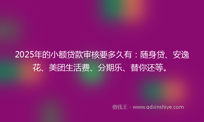 2025年的小额贷款审核要多久有：随身贷、安逸花、美团生活费、分期乐、替你还等。