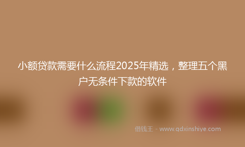 小额贷款需要什么流程2025年精选，整理五个黑户无条件下款的软件