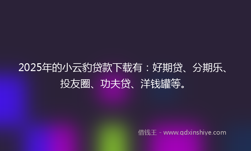 2025年的小云豹贷款下载有：好期贷、分期乐、投友圈、功夫贷、洋钱罐等。