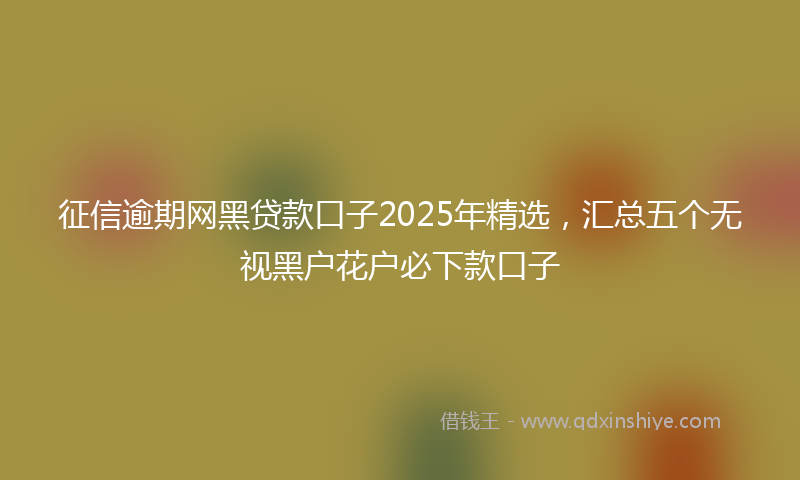 征信逾期网黑贷款口子2025年精选，汇总五个无视黑户花户必下款口子