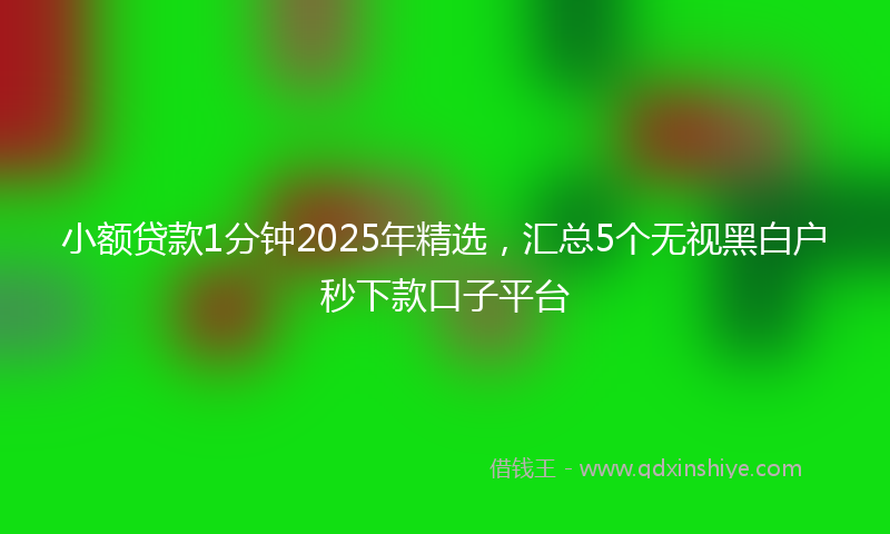 小额贷款1分钟2025年精选，汇总5个无视黑白户秒下款口子平台
