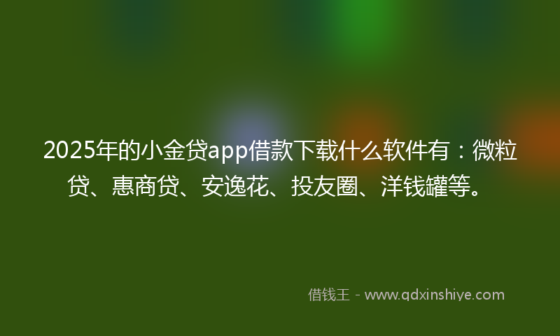2025年的小金贷app借款下载什么软件有：微粒贷、惠商贷、安逸花、投友圈、洋钱罐等。
