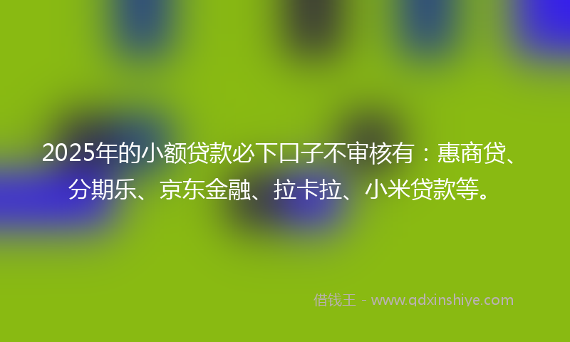 2025年的小额贷款必下口子不审核有：惠商贷、分期乐、京东金融、拉卡拉、小米贷款等。