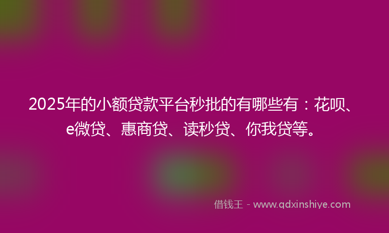 2025年的小额贷款平台秒批的有哪些有：花呗、e微贷、惠商贷、读秒贷、你我贷等。