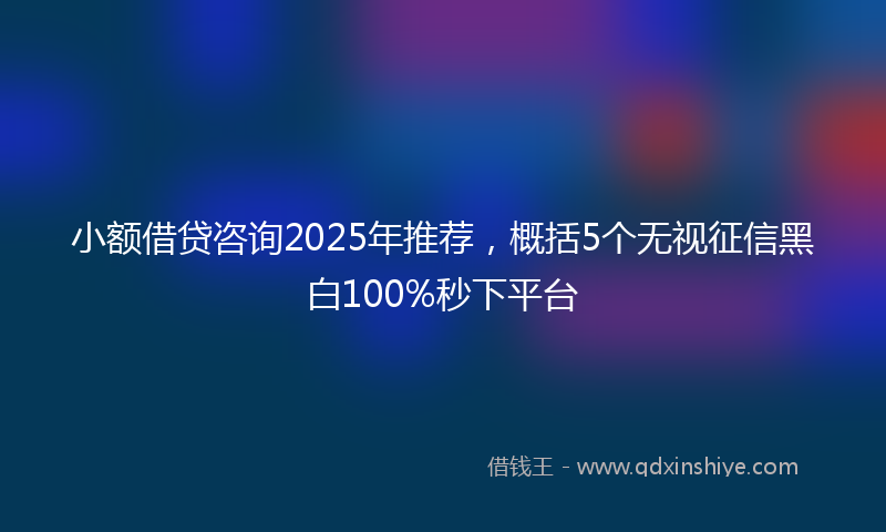 小额借贷咨询2025年推荐，概括5个无视征信黑白100%秒下平台